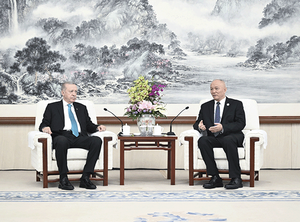 蔡奇会见土耳其总统埃尔多安600.png